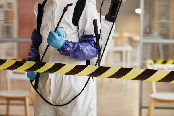 Professional Hoarding Cleanup technician working in Coloma, MI